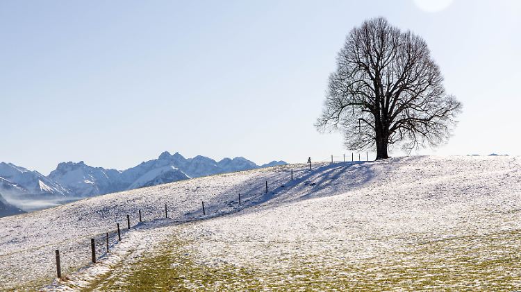 Schnee bekommt man nur oberhalb von 700 Metern zu Gesicht.