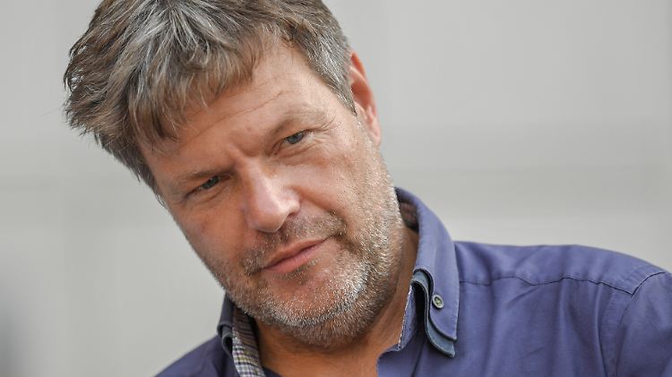 Grünen-Chef Habeck: "Die SPD sagt, die Schuldenbremse muss weg, die Union sagt, sie muss exakt so sein, wie sie vor 10 Jahren beschlossen wurde. Beides ist falsch." 