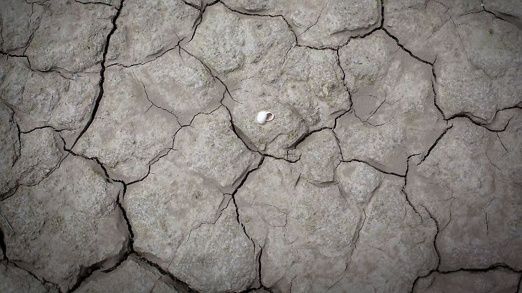 Wie wird sich das Leben auf der Erde angesichts des Klimawandels verändern? Diese Frage beschäftigt viele Menschen.