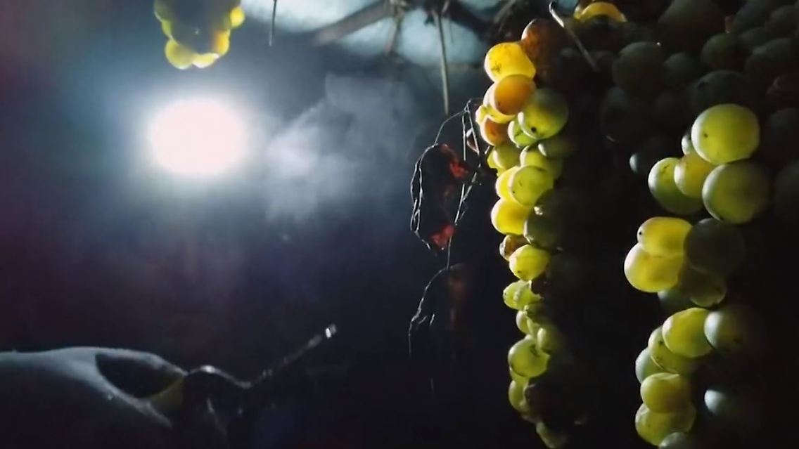 eiswein.JPG