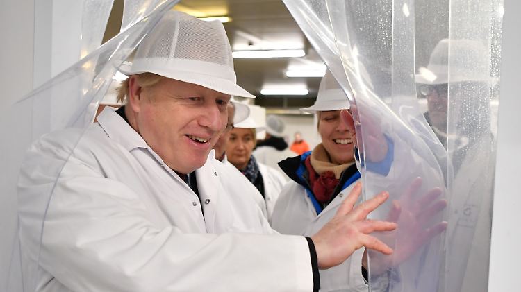 Besucht lieber eine Fischfabrik als ein BBC-Studio: Boris Johnson im Wahlkampf. 