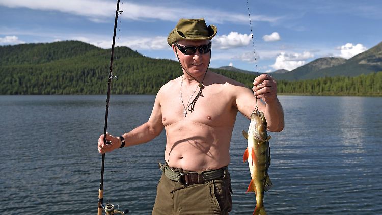 Ein Fisch von einem Mann: Wladimir Putin.