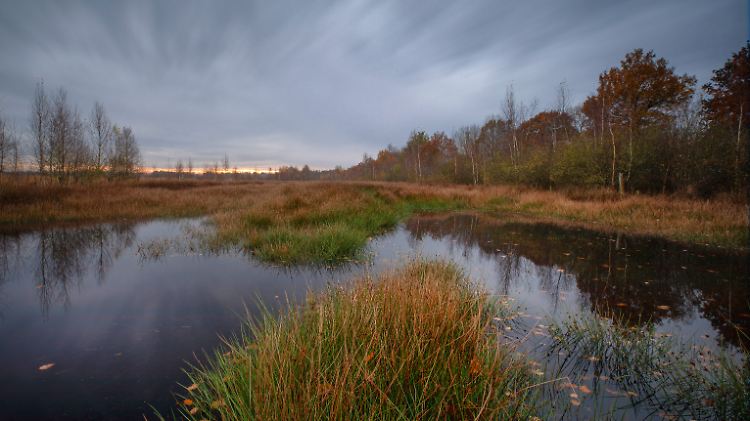 In Rheinland- Pfalz sowie im Saarland besteht eine insgesamt erhöhte Hochwassergefahr.