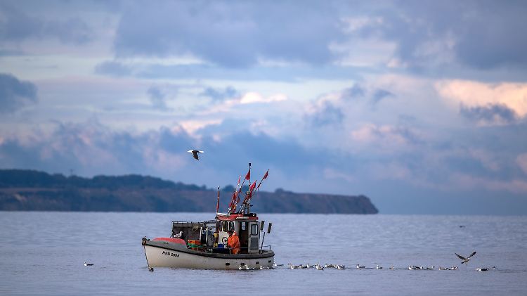 Fischkutter auf der Ostsee dürften ein seltenerer Anblick werden.