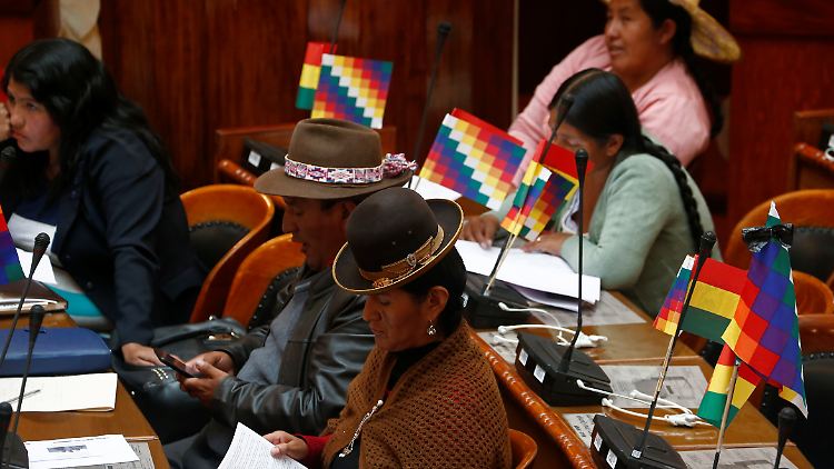 Indigene Abgeordnete von Morales' Partei MAS im Kongress von La Paz