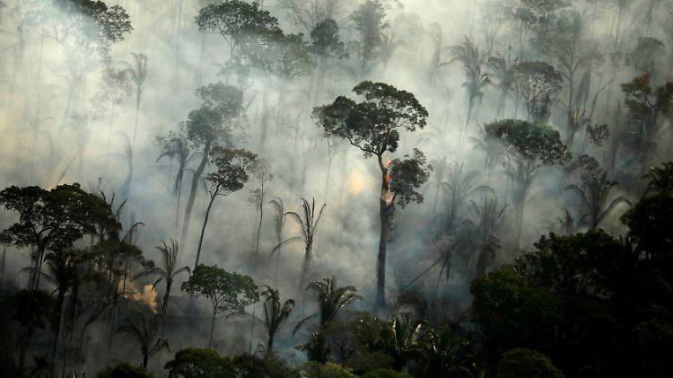 Der Amazonas brannte 2019 weitflächig wie lange nicht, so wie hier nahe Porto Velho im Bundesstaat Rondônia.