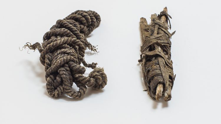 Eine als Bogensehne (l.) identifizierte Schnur aus dem Besitz von Ötzi neben Material, das möglicherweise auch für eine Sehne hätte verwendet werden können.