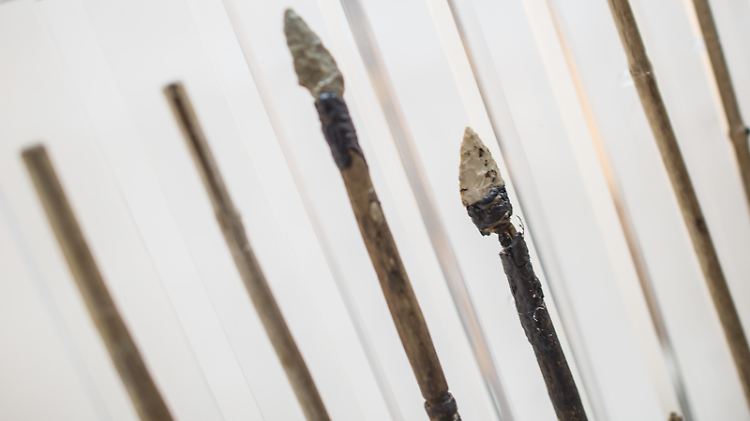 Die 14 Pfeile von Ötzi steckten in einem Köcher, zwei davon waren schussbereit mit Pfeilspitze und Befiederung versehen. Sie stellen die besterhaltenen Beispiele neolithischer Pfeilherstellung in Europa dar.