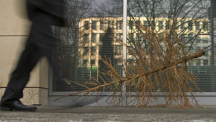 Die meisten gekauften Bäume werfen schon nach kurzer Zeit ihre Nadeln ab.