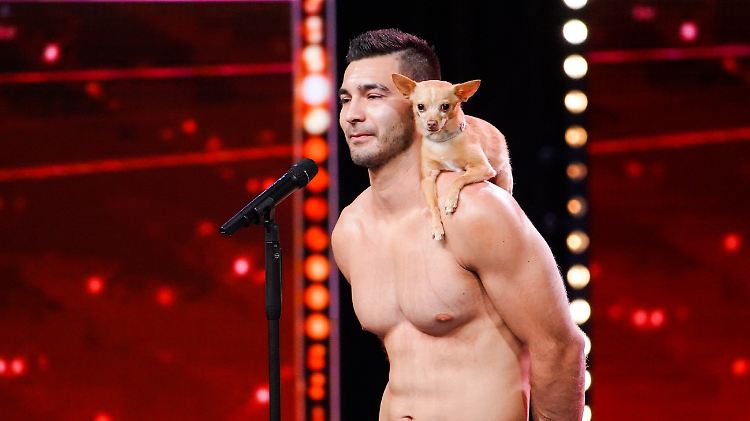 Mit 100.000 Euro Preisgeld dürfte die lebenslange Hundefutterversorgung gesichert sein.