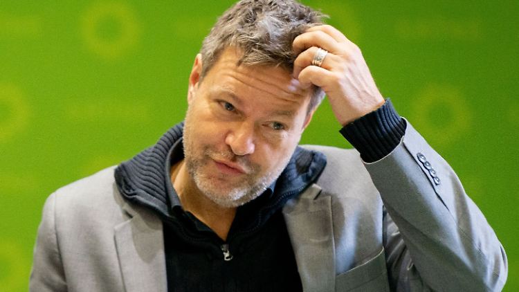 Grünen-Chef Robert Habeck