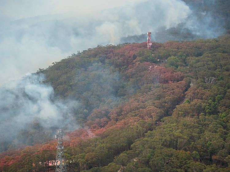 Rauchwolken bei Kurrajong Heights, etwa 75 Kilometer nordwestlich von Sydney.