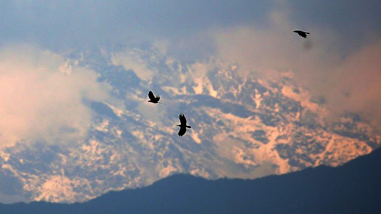 Die 122 Chinesen sollen von Nepal aus operiert haben.