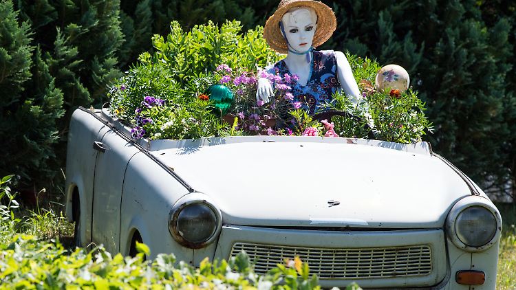Die umweltfreundlichste Art, ein Auto zu nutzen, ist wohl die als Blumentopf.