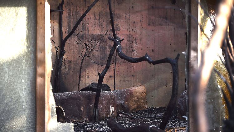 Auf die Brandverursacher dürften erhebliche Zahlungsforderungen zukommen.