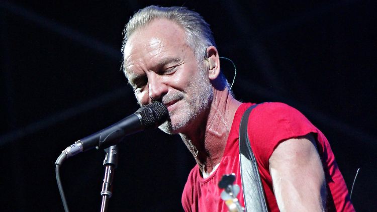 Auch Sting unterstützte die "Robin Hood"-Aktion.