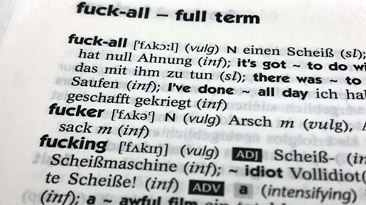 Junge Leute konsumieren verstärkt US-amerikanische und britische Filme in Originalton. Das dürfte zu einem höheren Gebrauch an englischsprachigen Schimpfwörtern beitragen.