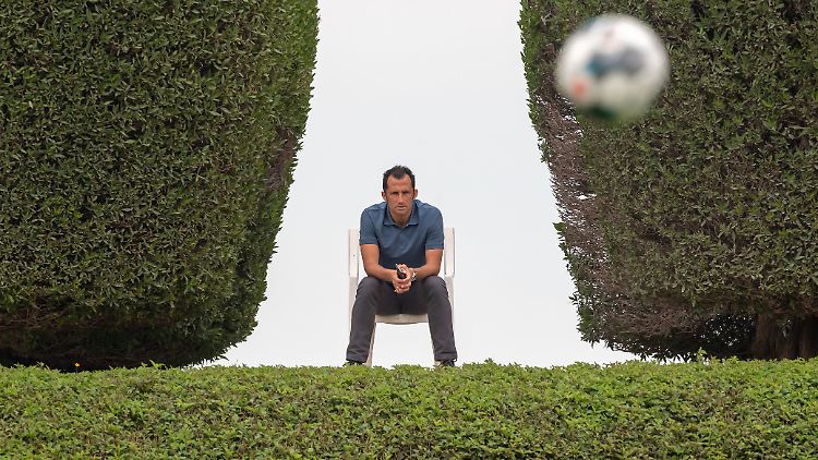 Die Kaderplanung von Bayerns Sportdirektor Hasan Salihamidzic wird kritisch beäugt.
