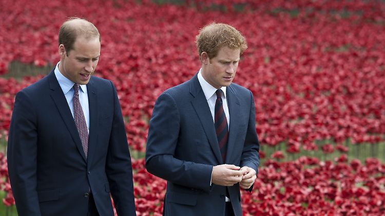 Die Herzöge von Sussex und Cambridge haben in turbulenten Zeiten wie diesen viel zu besprechen.
