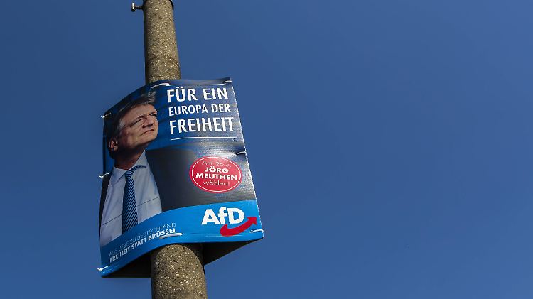 Jörg Meuthen bekam für Werbeaktionen 89.800 Euro aus der Schweiz.