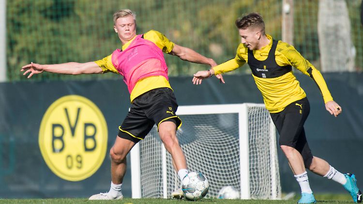 Der Kapitän und der Neue: Reus freut sich über seinen neuen Mitspieler Haaland.