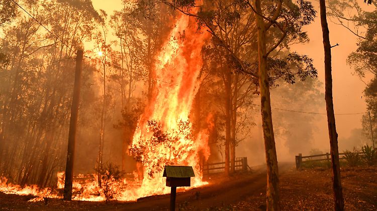 Zahlreiche Buschfeuer setzen momentan dem australischen Kontinent zu.