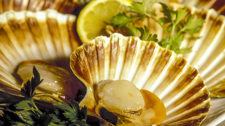 Sie müssen sich Ihre leeren Muscheln nach dem Essen nicht an Gürtel oder Hut heften.  