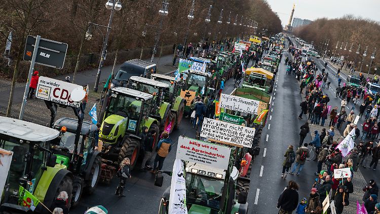 Gegen die aktuelle Agrarpolitik: Bauern und Aktivisten demonstrierten Seite an Seite.