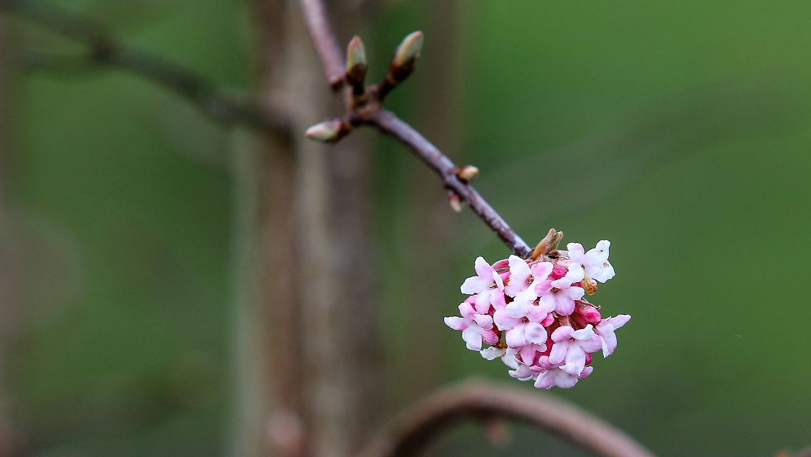 imago96260268h.jpg