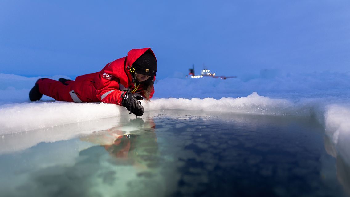 Den Forschern geht es darum, die Wechselwirkungen zu verstehen, die das arktische Klima und das Leben im Nordpolarmeer prägen.