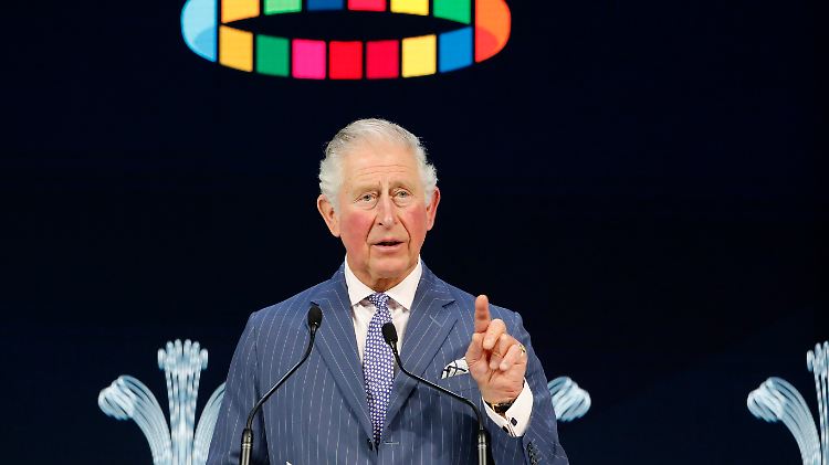 Warb in Davos für mehr Klimaschutz: Prinz Charles.