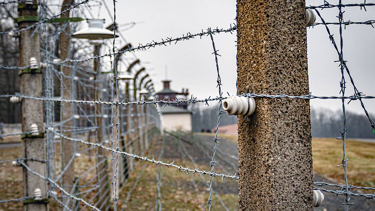 Durch störendes Verhalten profilierten sich die Rechtsextremen im eigenen Umfeld.