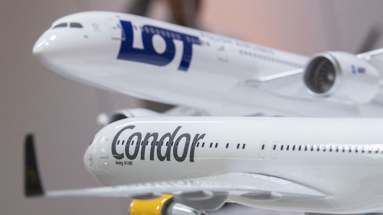 Derzeit betreibt die LOT eine Flotte von 80 Maschinen. Die Condor kommt auf knapp 60 Jets.