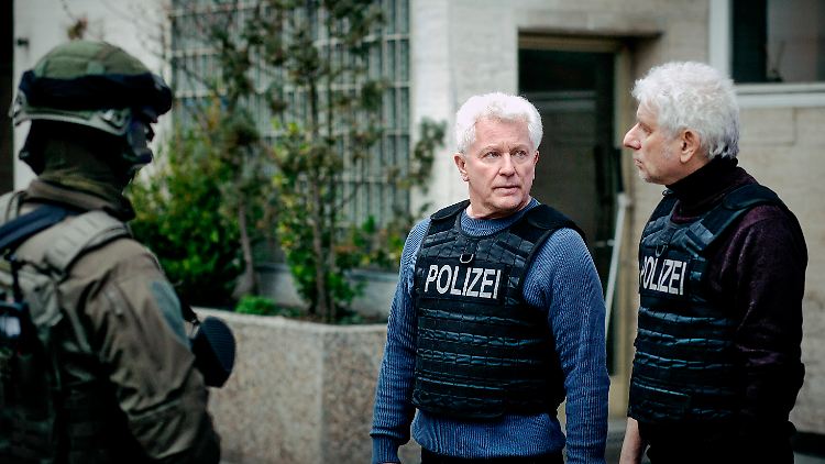 Die Silberrücken wollen ihre Stadt beschützen. 
