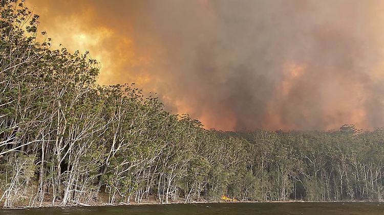 In Australien wüten seit Monaten schwere Feuer, besonders im Südosten.