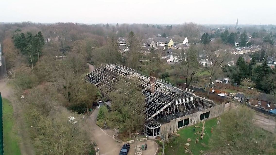NeuesHausKrefeld.jpg