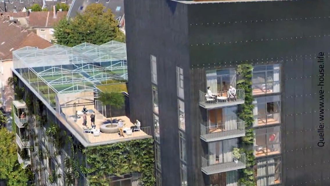 Vertical-farming.jpg