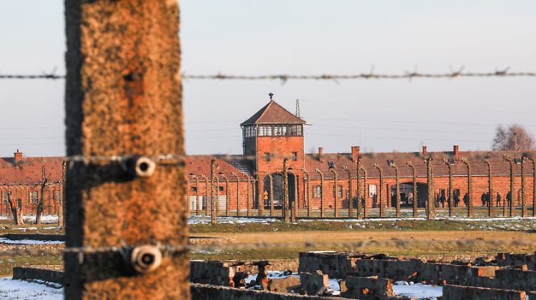 Kommende Woche jährt sich die Befreiung des KZ Auschwitz zum 75. Mal.