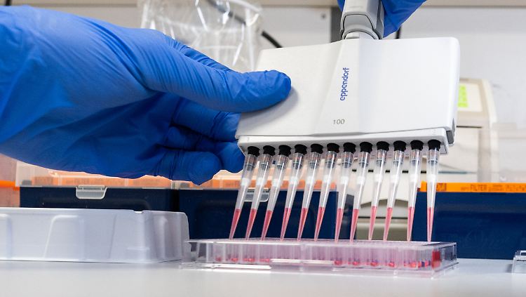 Die Laboruntersuchungen in dem Fall finden im Institut für Virologie an der Charité Berlin statt.