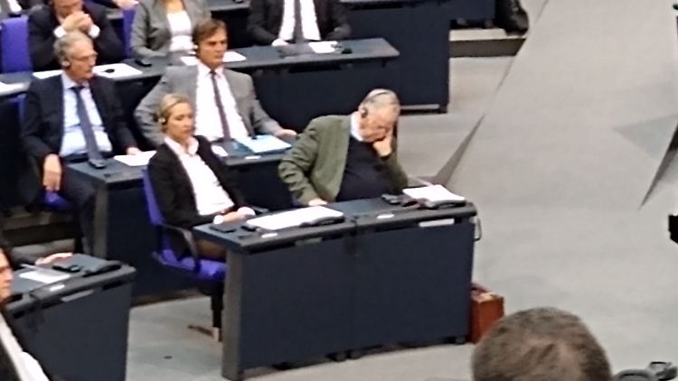 Ist Alexander Gauland eingeschlafen?