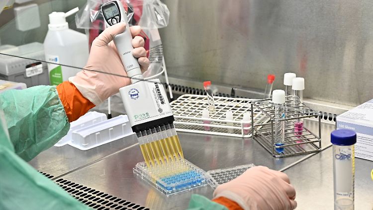 Bislang wurde das Virus in Deutschland bei vier Patienten in Bayern nachgewiesen.
