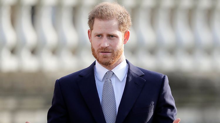 Will sich nicht als Tierfotograf profilieren: Prinz Harry.