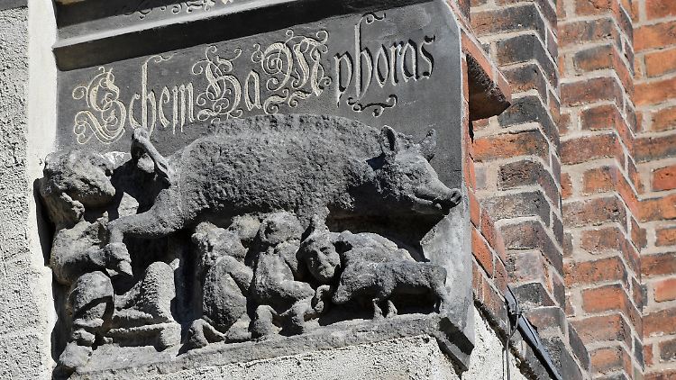 Schweine gelten im Judentum als unreine Tiere.