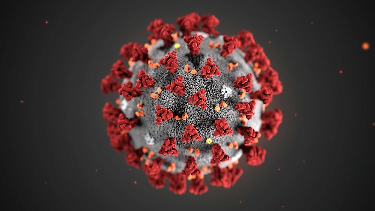 Computergrafik des neuen Virus.
