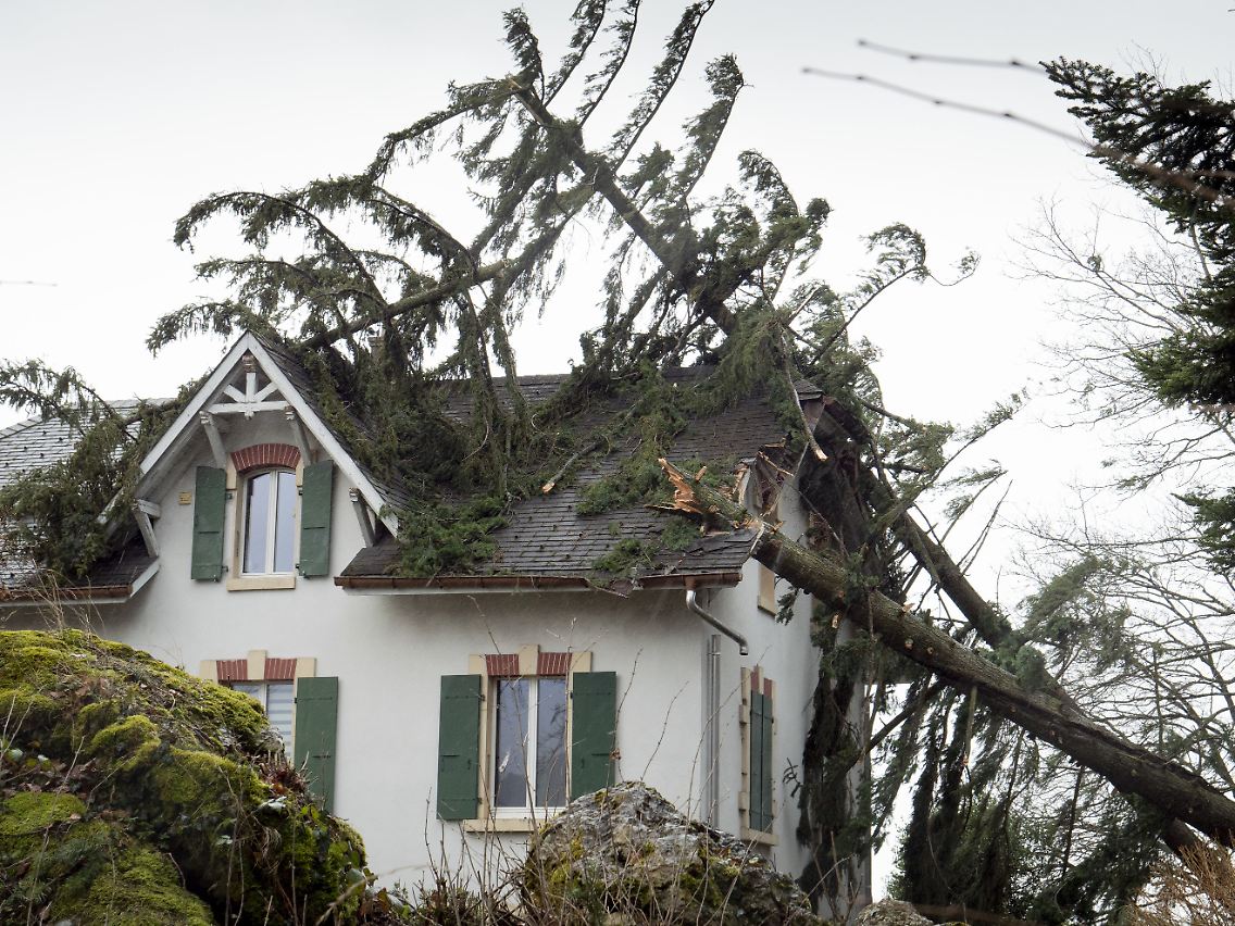 Im Winter bieten Laubbäume einem Sturm weniger Angriffsfläche. Bei immergrünen Nadelbäumen hingegen macht es keinen Unterschied. Ein solcher hat in Folge von Sturm "Sabine" das Dach einen Hauses in der Schweizer Ortschaft Lutry beschädigt.