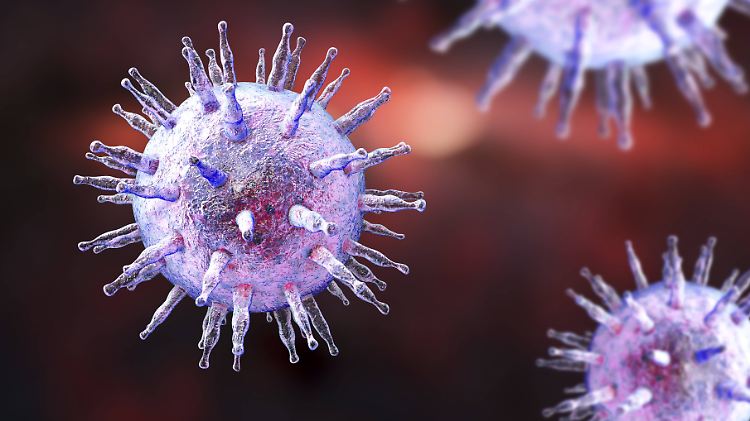 Epstein-Barr-Virus in einer Computergrafik.