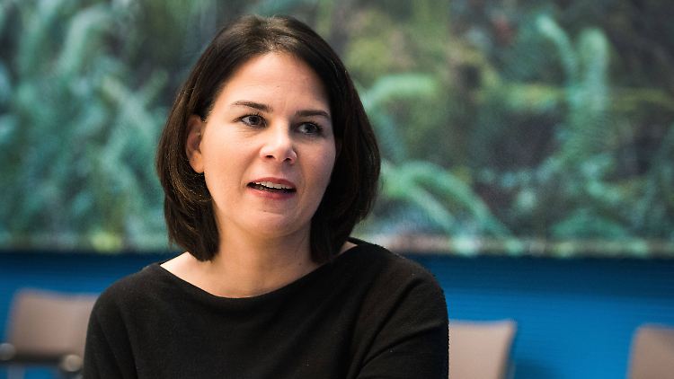 Baerbock meint, die AfD arbeite mit Mitteln der Demokratie an ihrer Zerstörung.
