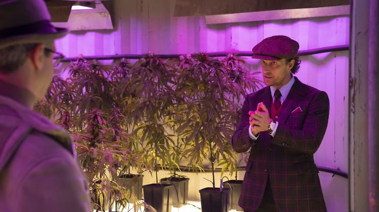 Zwar mangelt es nicht an Interesse an Mickey Pearsons (Matthew McConaughey, r.) Marihuana-Plantagen, doch sollte man in diesem Business wohl besser niemandem trauen.