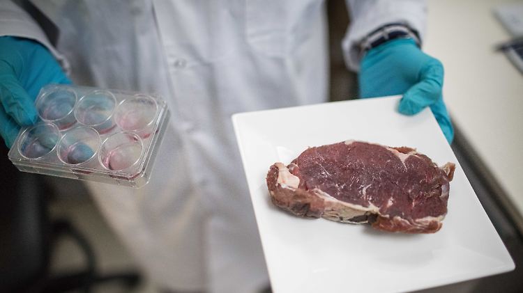 Der Startup-Gründer Didier Toubia mit einer Petrischale und einem Teller mit einem Steak. In der Petrischale befinden sich bestimmte Stammzellen einer Kuh, aus denen künftig in drei bis vier Wochen ein Steak im Labor gezüchtet werden soll.
