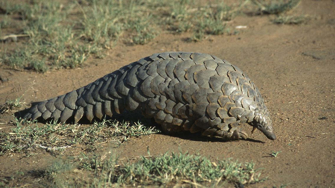imago69725682h.jpg